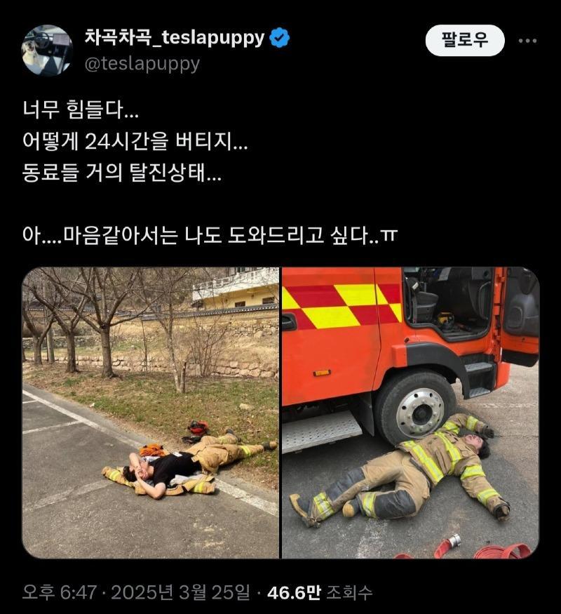 산불 진화 소방대원들[26]
