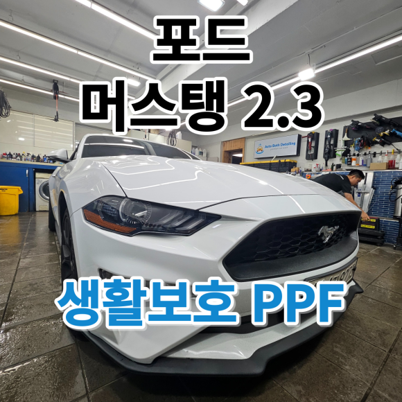 포드 머스탱쿠페 : 생활보호PPF 작업기 노원 중랑 성북 / 서울 노원구