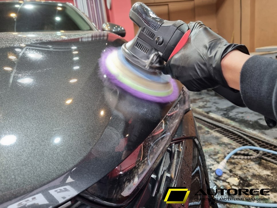 일산 식사동 새똥 자국 부분 광택 - K5 / 경기 고양