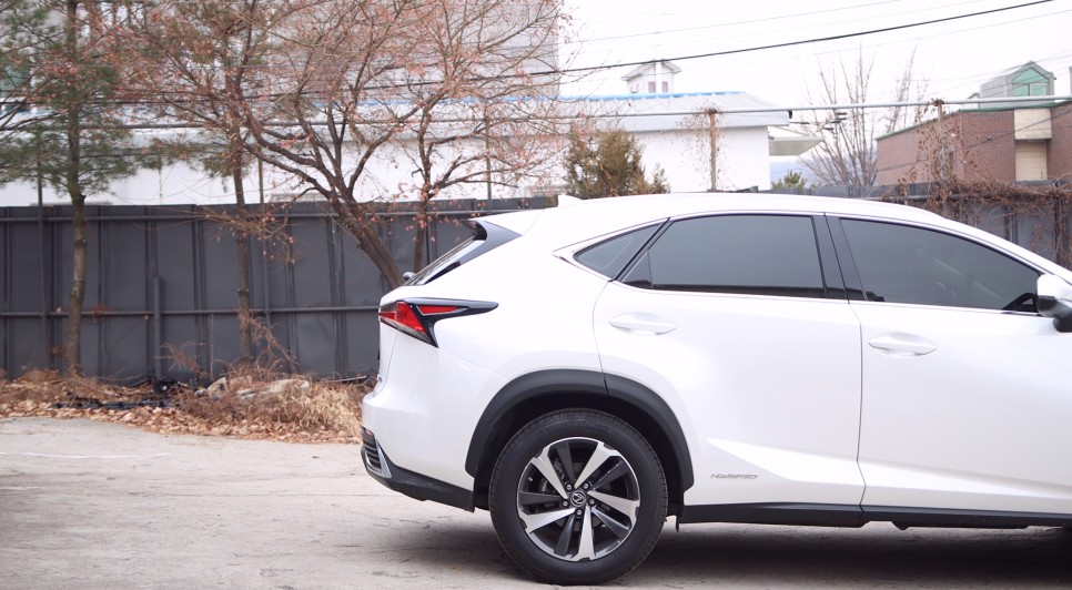 렉서스 NX300 전동트렁크 옵션을 추가해 주세요!