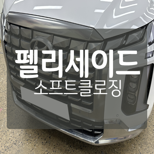 [대전] 펠리세이드 소프트클로징 S-CLOSING 압축도어 고스트도어 장착 시공 / 대전 서구, 세종, 청주