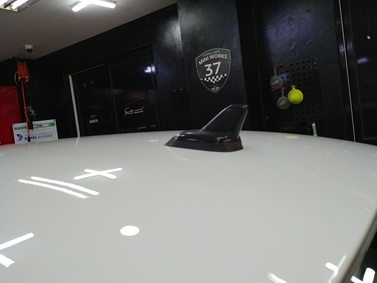 파사트 루프스킨으로 스포티와 고급스러움을 동시에 잡자!