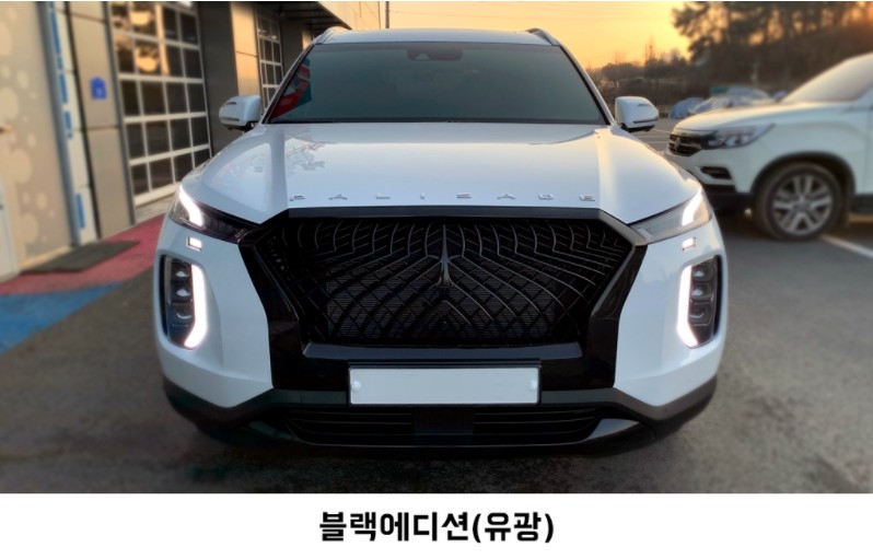 오산 평택 팰리세이드 프레스티지 스파이더 그릴 + 스키드 랩핑 / 평택시 진위면