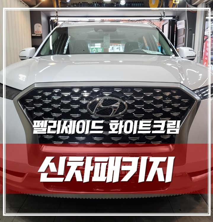 팰리세이드 화이트크림, 곧 페이스리프트! 신차출고 후 꼭 해야하는 것은? / 서울 광진구, 중곡, 건대