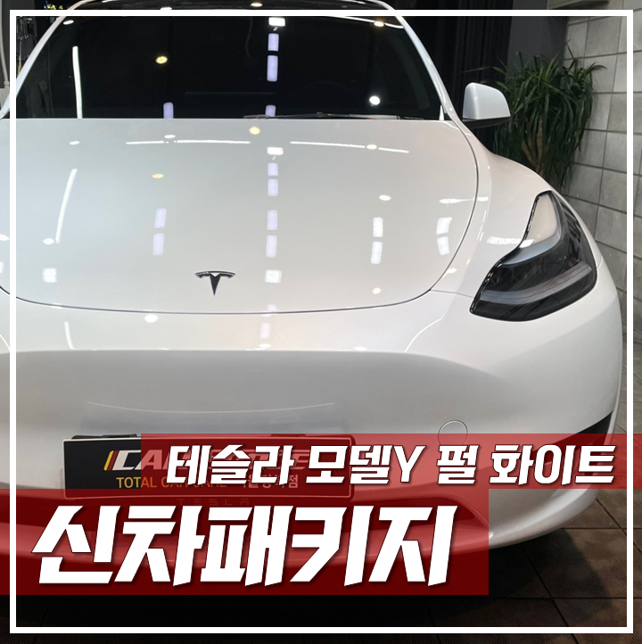 테슬라 모델Y 펄 화이트 멀티코트, 단차는 없어보이는데 다른 문제가?! / 서울 광진구, 중곡, 건대