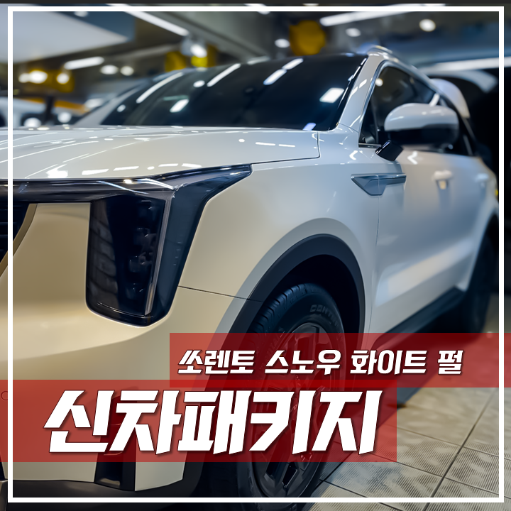 리피드 테라, 생활보호PPF, 광진구신차패키지, '쏘렌토 화이트' / 서울 광진구, 중곡, 건대
