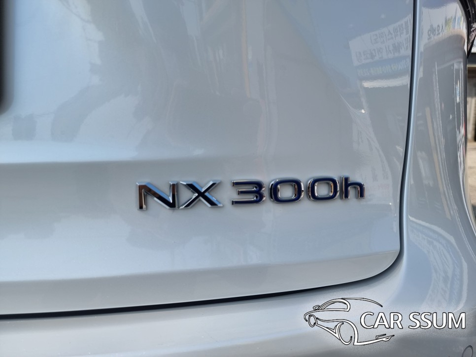 광주.전라 / 렉서스 NX300h 어라운드뷰 순정형 서라운드뷰 전문 (전라도 전주 대전 광주 수입차튜닝샵 카썸) / 광주