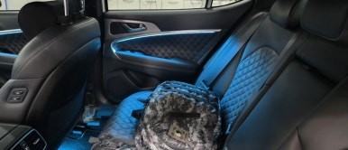 구미 제네시스 G70 엠비언트 아무곳에서 하면 클납니데이~ / 대구,구미