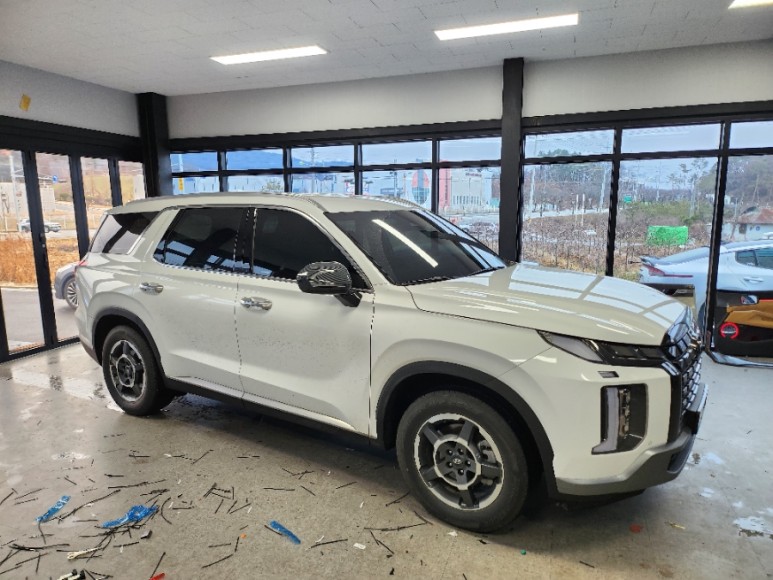 더뉴펠리세이드 순정이 없어도 더 순정같이!! / 대전,세종,청주