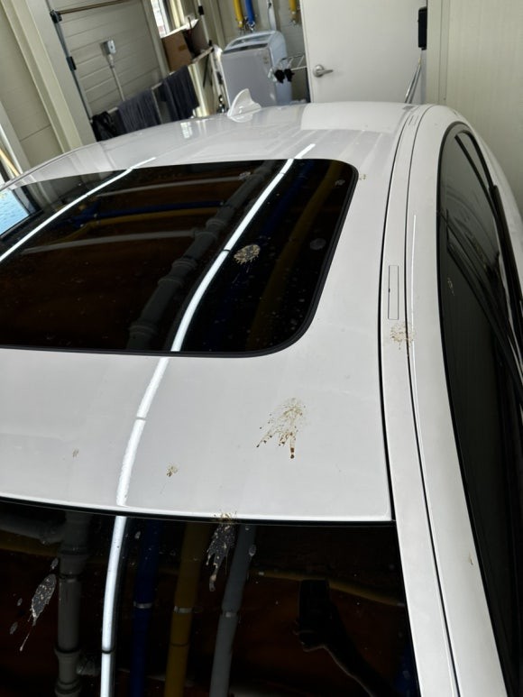 대전.충청 / 청주 detail_lee_wash 디테일링 세차 전문 BMW G30 520d 디테일링 세차 & 전면 발수코팅 / 청북 청주 / 청주
