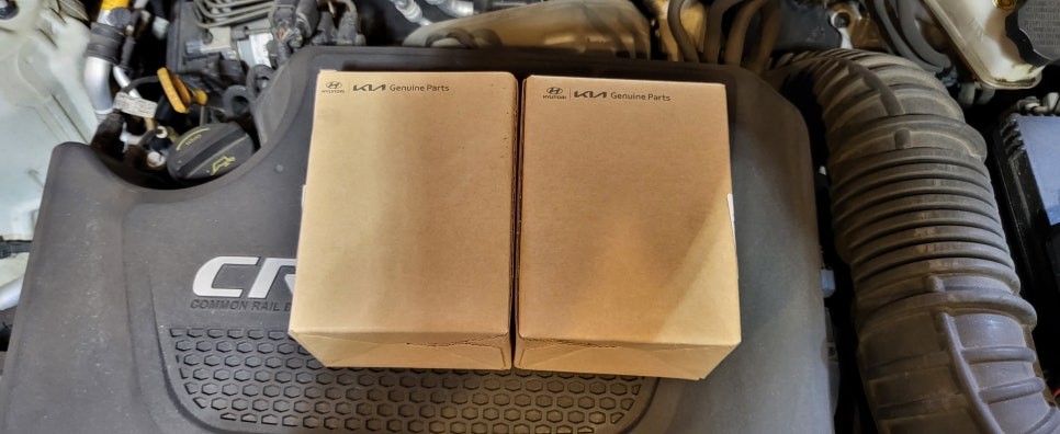 정왕동제네시스혼 배곧신도시제네시스혼 시흥시제네시스혼 장곡동제네시스혼 정왕동에쿠스혼 배곧신도시에쿠스혼 / 경기 시흥