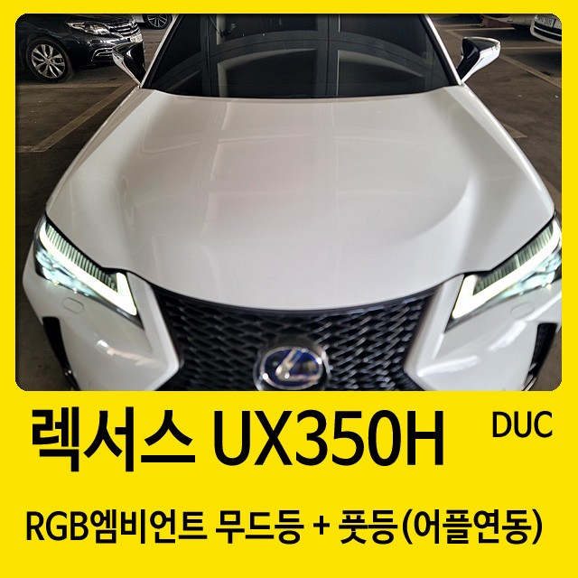 창원 엠비언트 렉서스 UX350H 시공점 드레스업카 / 경남 창원