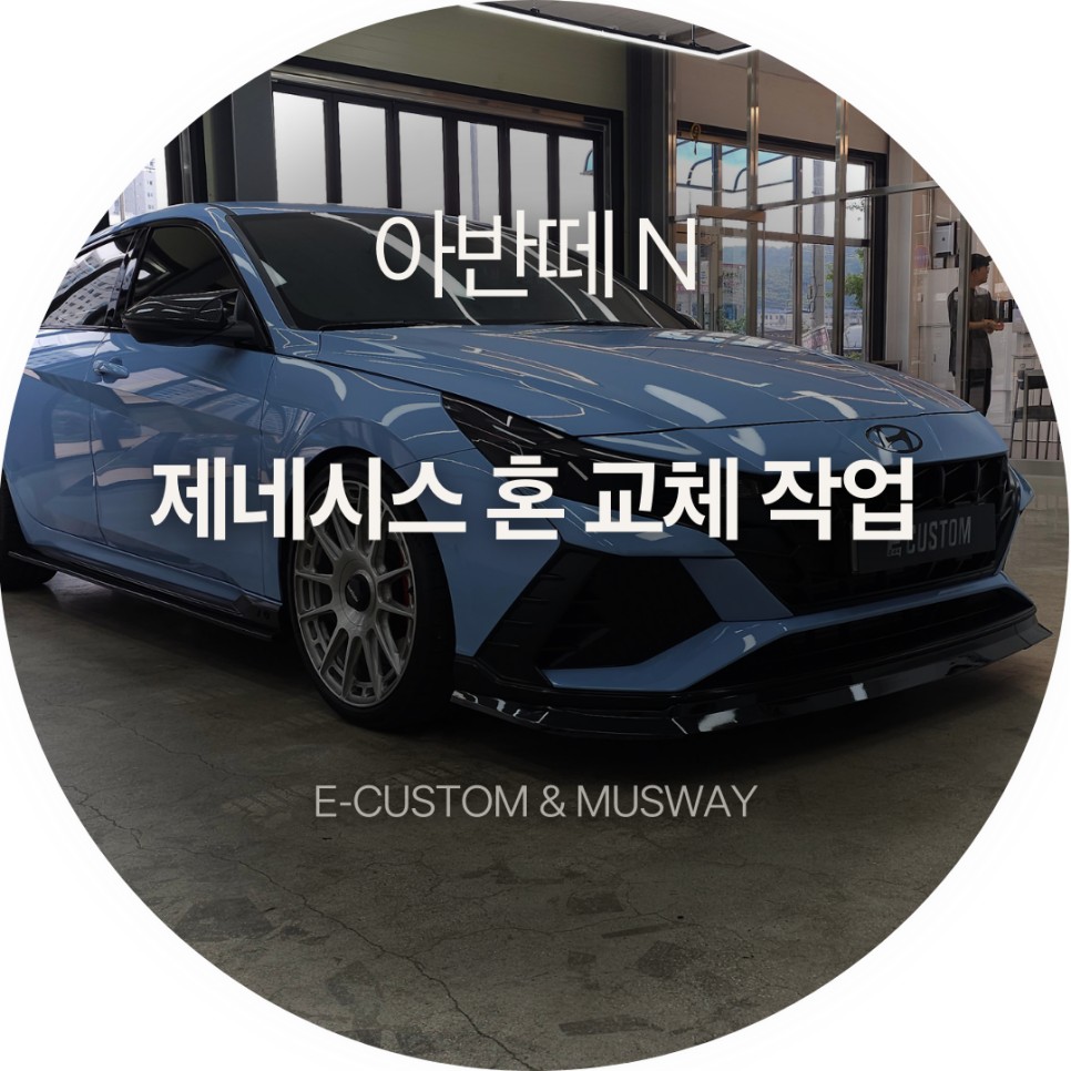 아반떼N 고질병 혼 고장