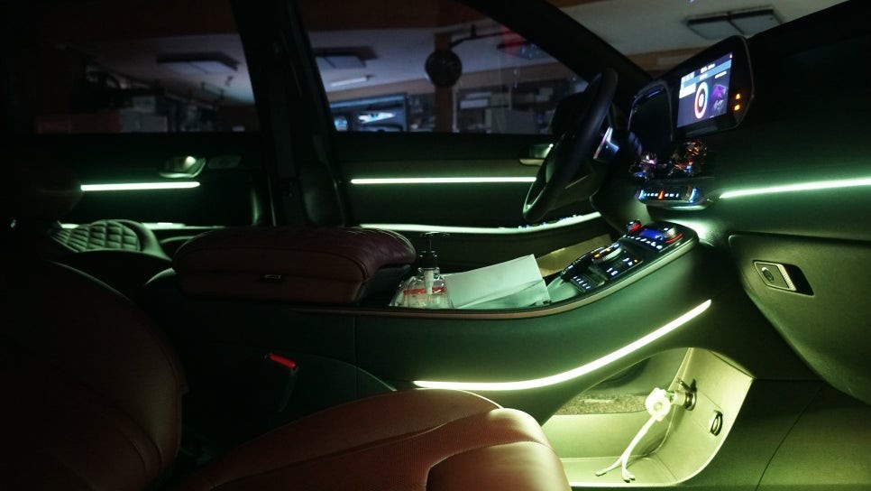 팰리세이드 순정엠비언트 진화 / 부산 진구, 김해