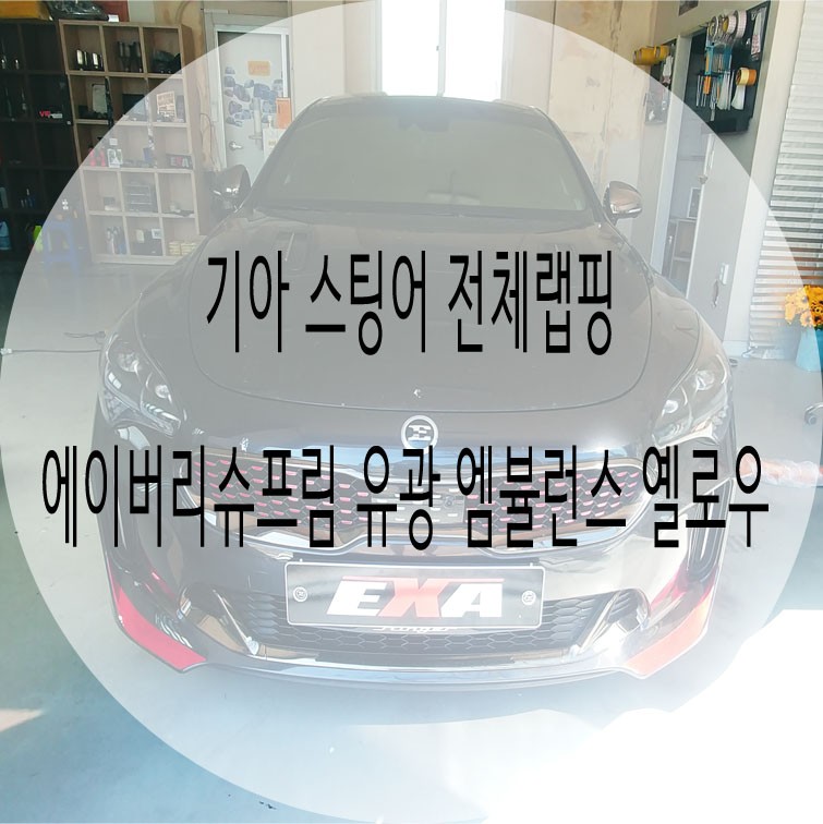 [EXA][대구랩핑전문] 기아 스팅어 전체랩핑 + 루프스킨 + 부분랩핑 시공 / 대구 달성군 화원읍