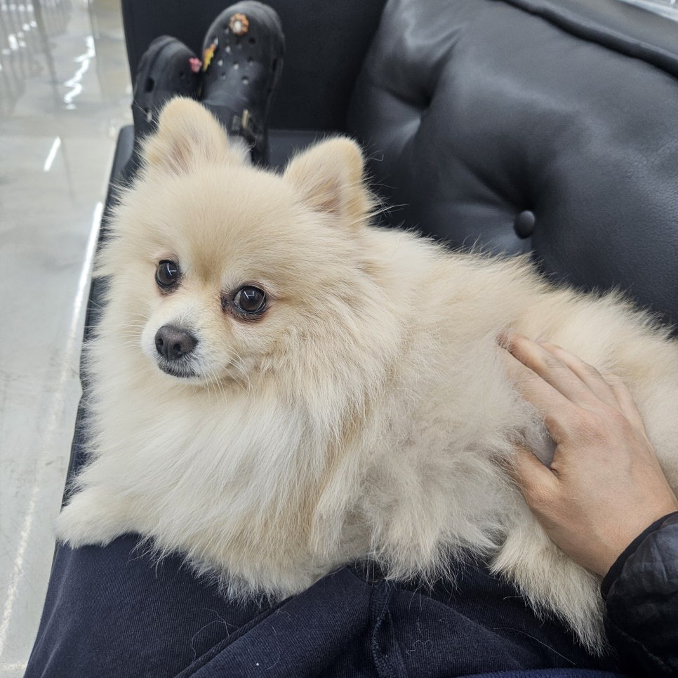 광주 실내랩핑 우드랩핑은 고카팩토리에서 / 광주 북구