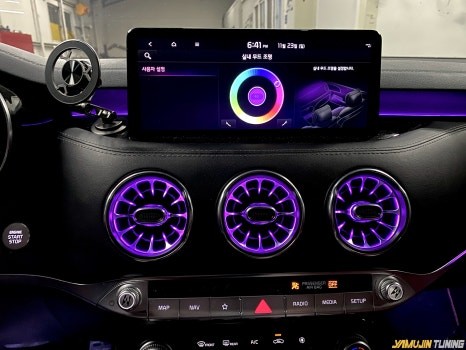 스팅어 후회 없는 튜닝 벤풍구 이건 못 참지! / 용인시 처인구 포곡읍