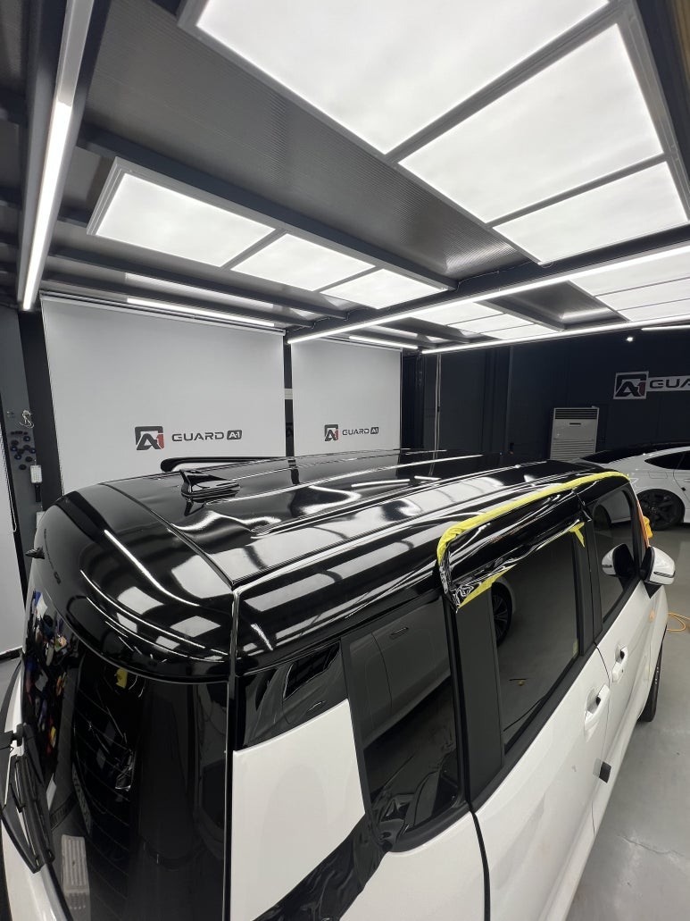 [가드에이원] 더뉴레이 루프스킨 / 경기 남양주