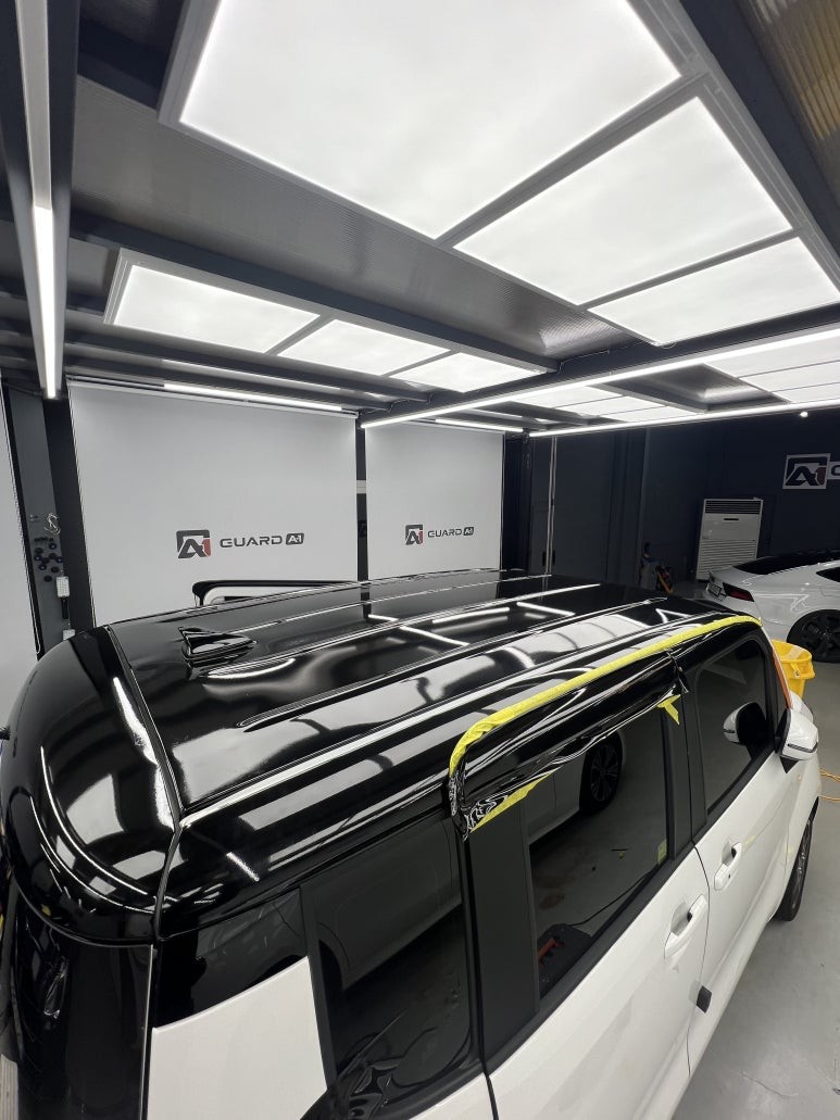 [가드에이원] 더뉴레이 루프스킨 / 경기 남양주