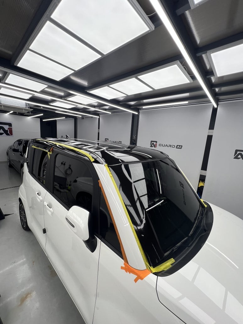 [가드에이원] 더뉴레이 루프스킨 / 경기 남양주