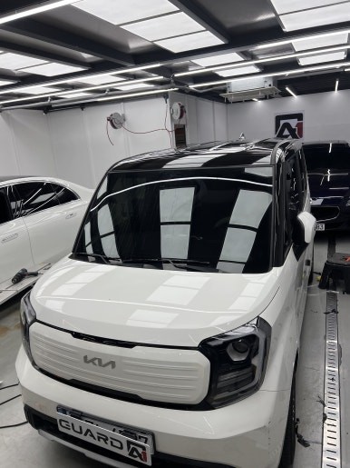 [가드에이원] 더뉴레이 루프스킨 / 경기 남양주