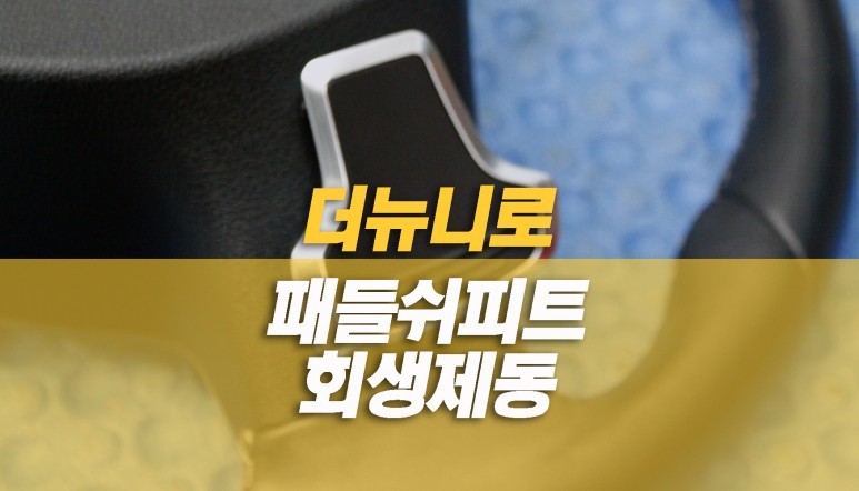 더뉴 니로 하이브리드 패들시프트 순정 용품 업그레이드 / 회생 제동 활성화 / 양주시 회정동