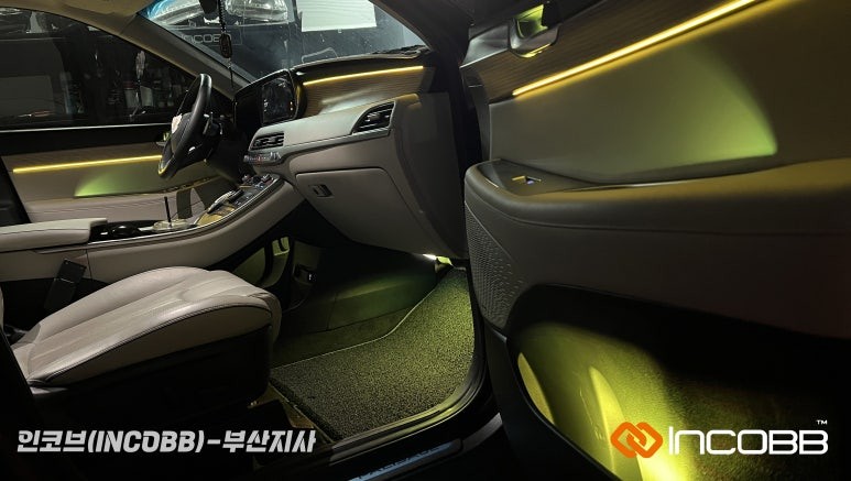 부산엠비언트 팰리세이드 인코브 순정형 엠비언트 라이트 버전5 + 렌즈 엠비언트 라이트 버전2 콜라보 / 부산진구