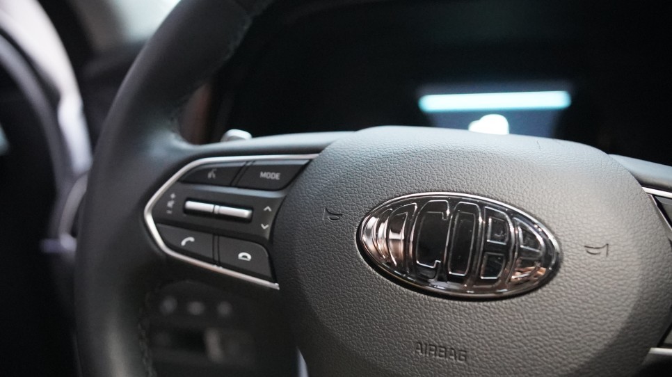 대구 팰리세이드 엠블럼 대구엠비언트 대구엠블럼 / 대구 달성군