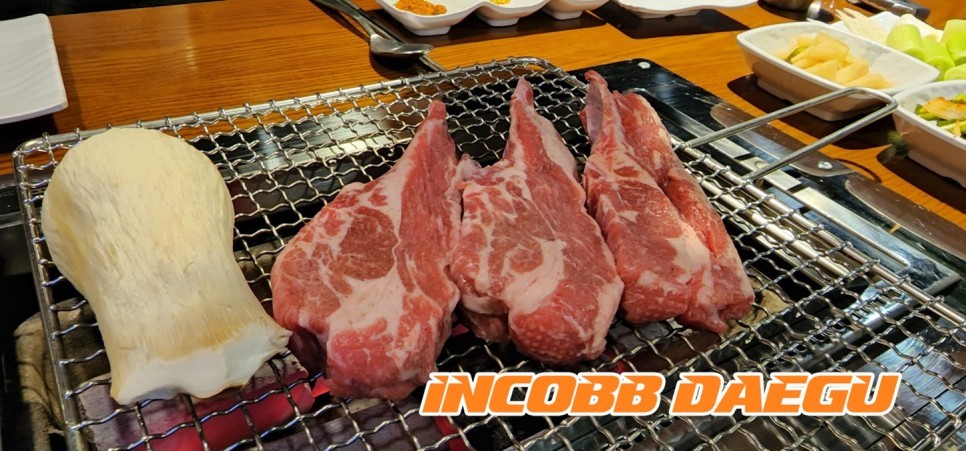 [인코브 대구지사 활동] 인코브 대구지사 5월 지사모임 & 6월 운영교육 시작! / 대구 달성군
