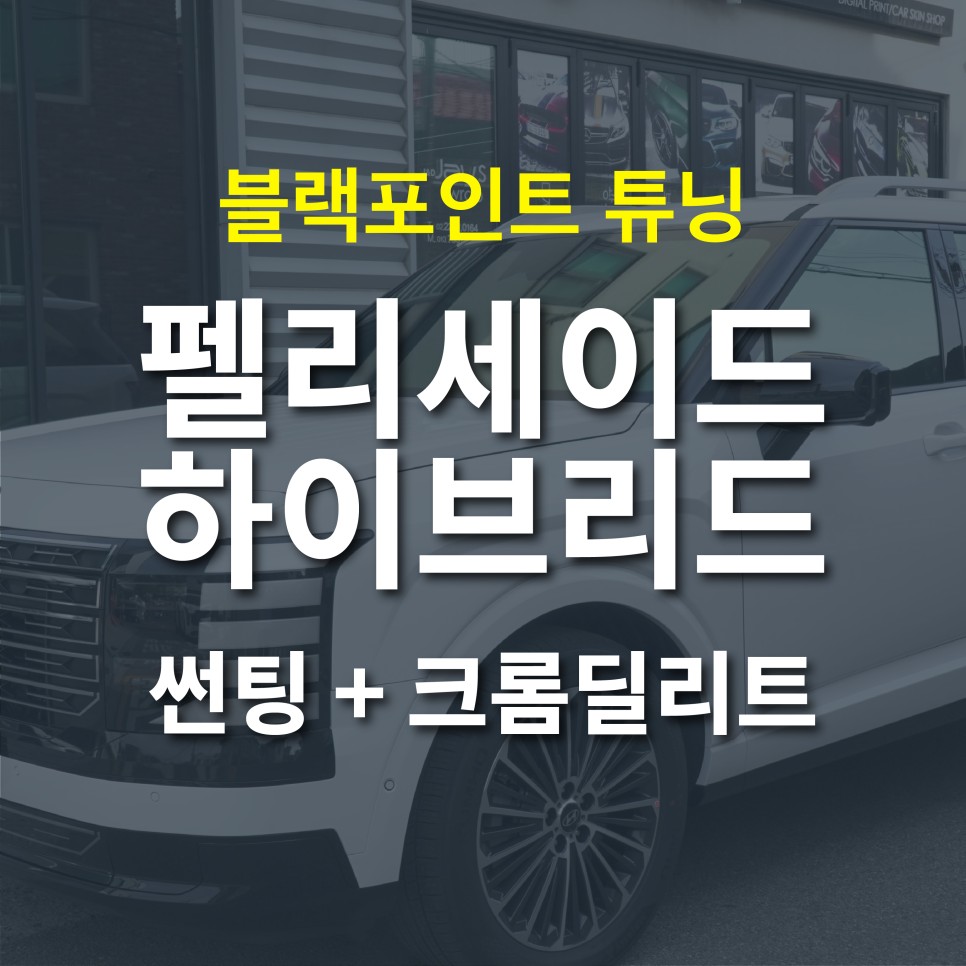 [2025 펠리세이드 하이브리드] 강남 썬팅 + 크롬딜리트 시공 후기 (화이트차량 블랙포인트 튜닝) / 서울 강남 세곡동