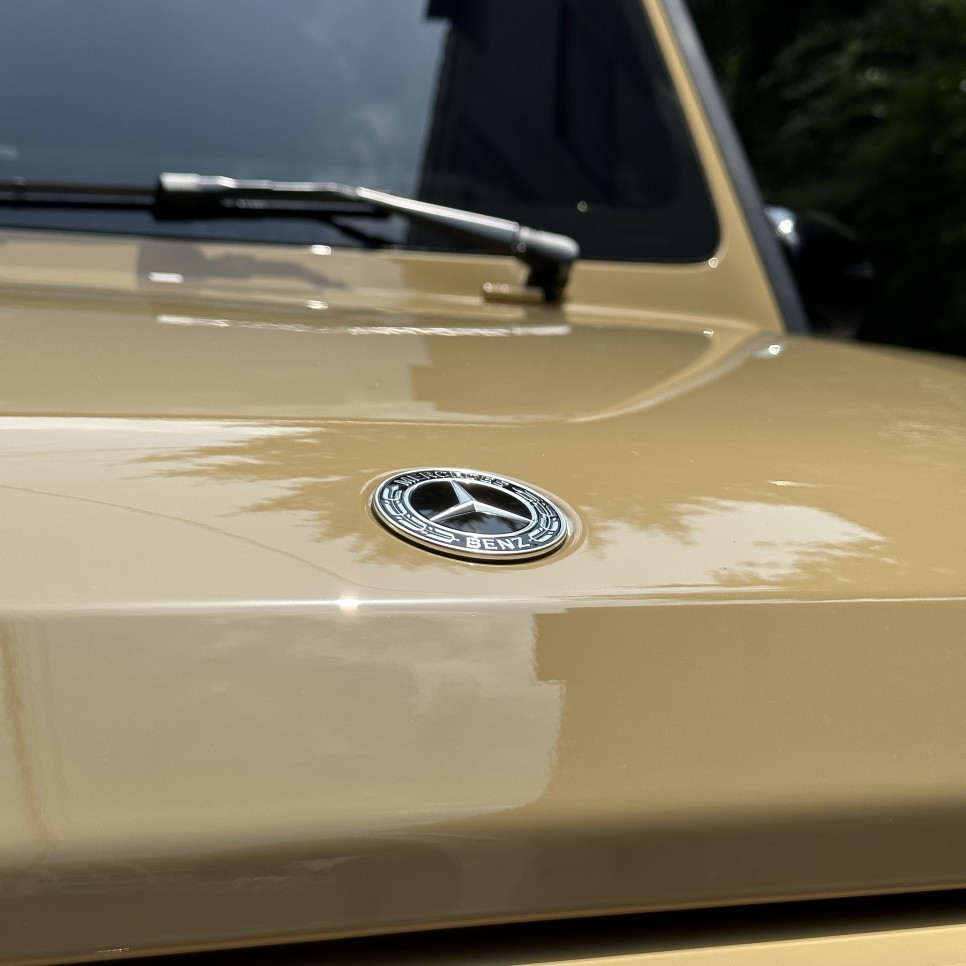 살면서 꼭 타보고 싶은 차를 넘어 타보고 싶은 컬러(color)의 지바겐 PPF / 서울 서초, 강남, 양재