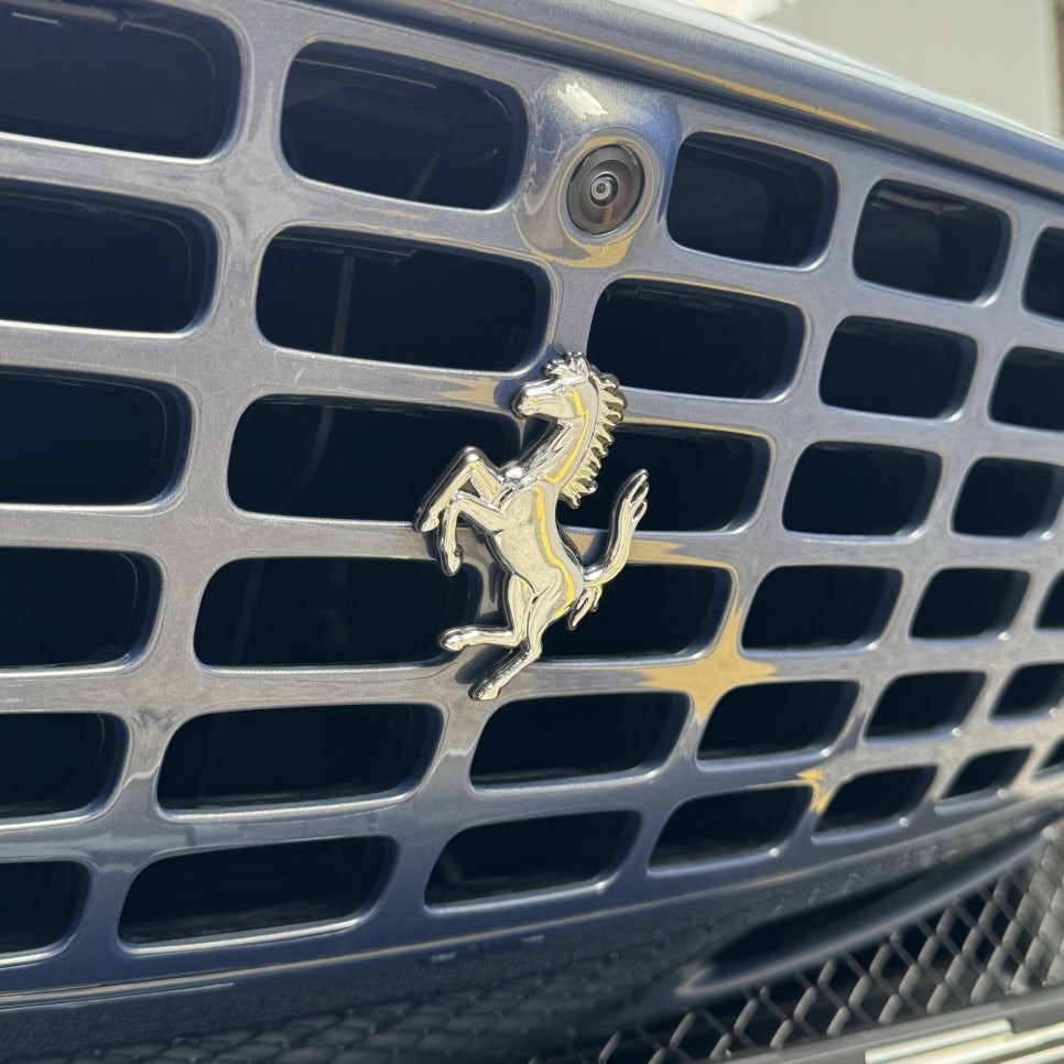 서울 / 또 페라리 로마 PPF, 소문듣고 찾아온 엑스펠 / 서초구 서초동 / 강남.송파.서초.동작.강동