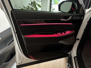 더 뉴 팰리세이드 캘리그래피 순정 연동 광량업 앰비언트 튜닝 수원 / 과천, 안양, 군포