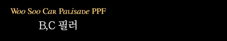 전북 팰리세이드 차량보호필름 PPF 시공 / 김제시 요촌동
