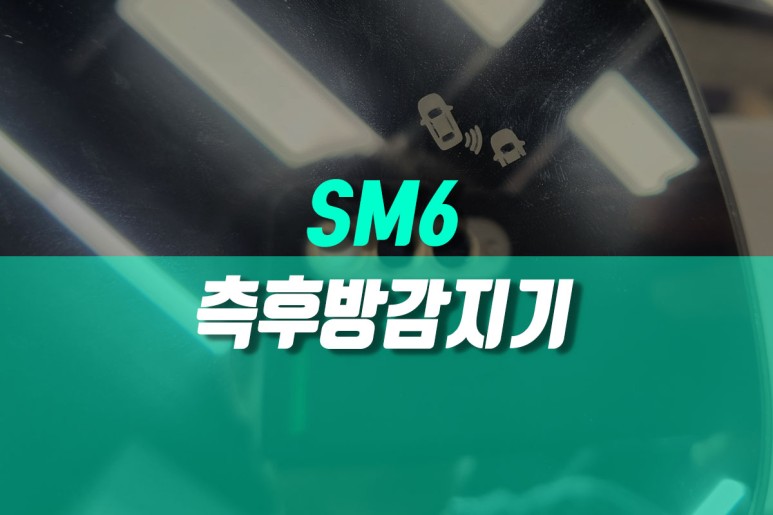 SM6 측후방센서 BSD 순정 후측방감지기 시공 / 용인,동탄,수원,광교