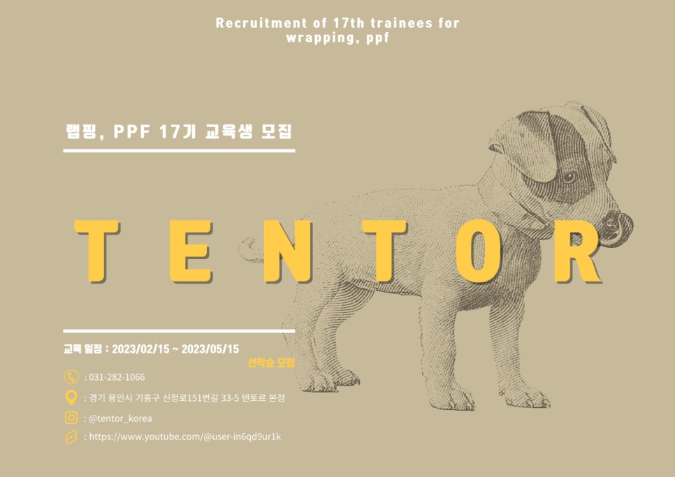 [ 자동차 랩핑, PPF 17기 교육생 모집 ] 