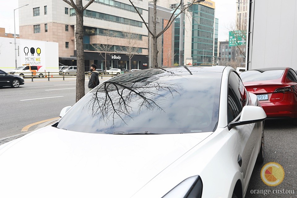 테슬라 모델 3, 세인트 아모 써밋으로 시공한 색감 감상해 보세요.