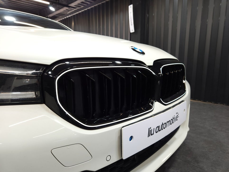 BMW G30 LCI 5시리즈 아이코닉글로우 프론트 그릴