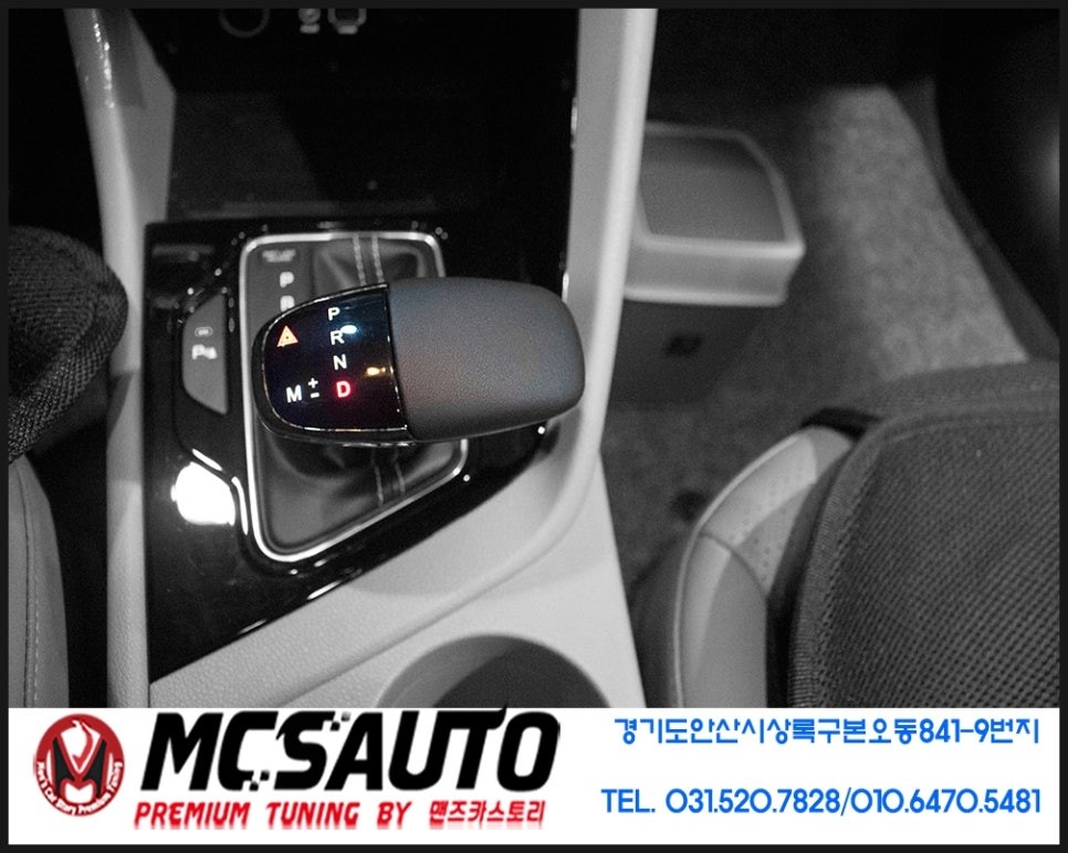 니로 닷기어봉버전2 / 안산시 상록구