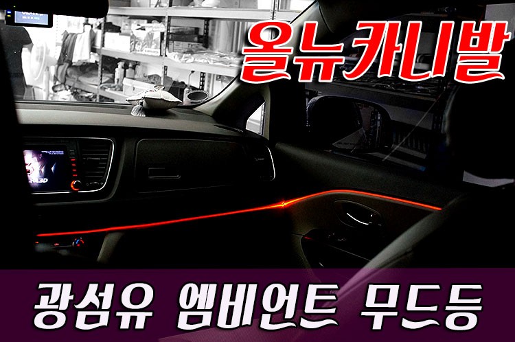 올뉴카니발 엠비언트 무드등 광섬유 작업 / 화성 봉담
