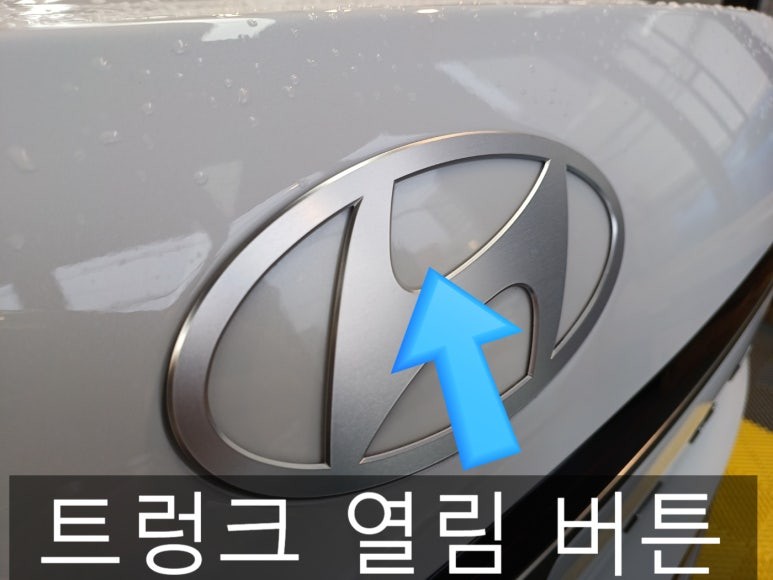 부평 자동차 ppf 보호필름 장인을 만났다? 외부, 내부 프로그램 컷팅 후 ppf 시공! / 인천 부평, 부천