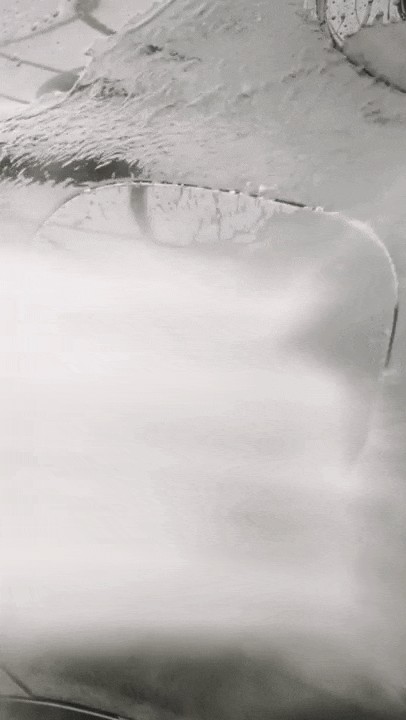 포르쉐 911 카레라 4s, 포르쉐 전문 PPF 시공 필름의 PPF 가격은? / 하남, 강동, 송파