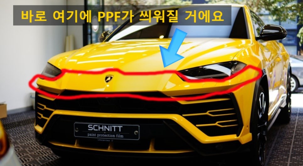 우르스 PPF 스톤칩 보고나서야 PPF 중요성 느꼈죠~ / 강남구 역삼동