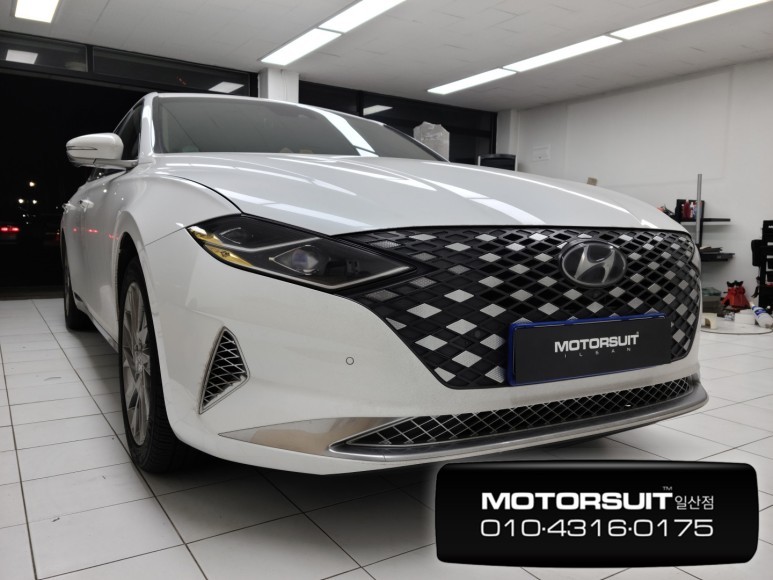 더뉴그랜저 엠비언트 순정엠비언트 시공 전문! 모토슈트 일산점입니다~ / 고양, 일산, 파주, 은평