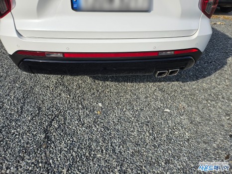 더뉴 팰리세이드 신형 블랙팩( 크롬딜리트) 크롬죽이기 작업 랩핑 / 현대 / 더 뉴 팰리세이드 / 울산, 경남