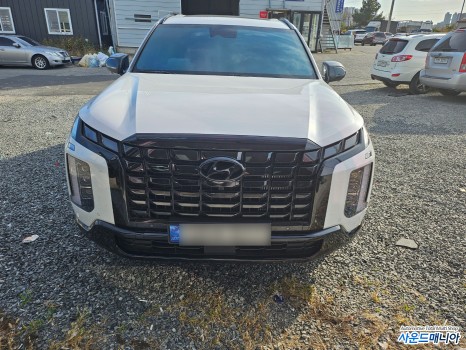 더뉴 팰리세이드 신형 블랙팩( 크롬딜리트) 크롬죽이기 작업 랩핑 / 현대 / 더 뉴 팰리세이드 / 울산, 경남