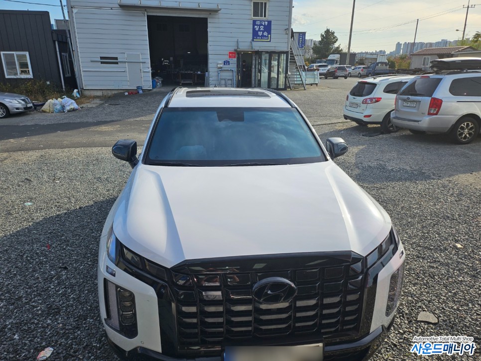 더뉴 팰리세이드 신형 블랙팩( 크롬딜리트) 크롬죽이기 작업 랩핑 / 현대 / 더 뉴 팰리세이드 / 울산, 경남