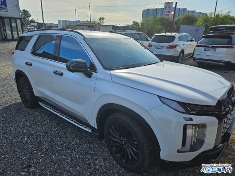 더뉴 팰리세이드 신형 블랙팩( 크롬딜리트) 크롬죽이기 작업 랩핑 / 현대 / 더 뉴 팰리세이드 / 울산, 경남