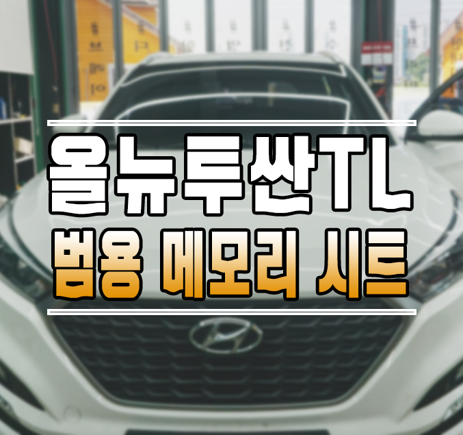 [올뉴투싼TL] 범용 운전석 메모리시트 이지억세스 작업 김포 / 김포,일산,고양