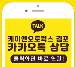 [아이오닉5] 순정 뒷좌석 2열 열선시트 컴포트 옵션 작업 김포 / 김포,일산,고양